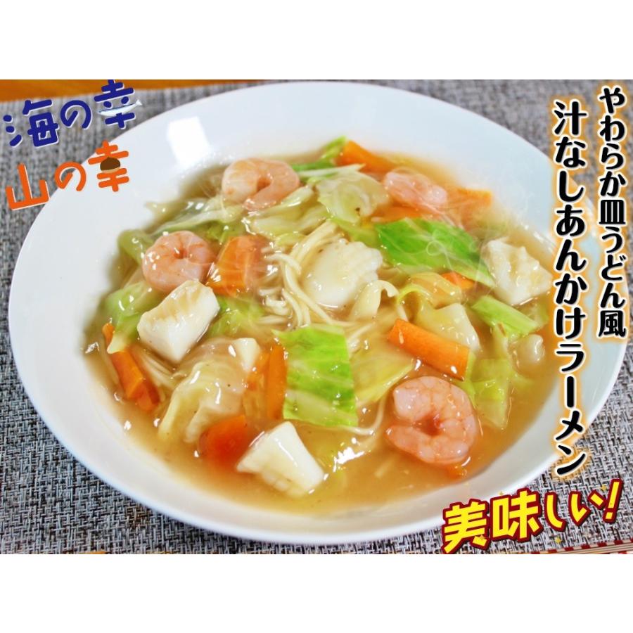 ポイント消化 会員価格500円 あんかけ汁なしラーメン 2人前セット 皿うどん風 たっぷり餡かけスープ 魚介エキス メール便 保存食お試しグルメ Mail Ankake C 本場九州ラーメン専門店 通販 Yahoo ショッピング