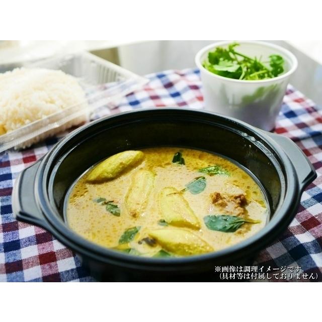 タイ風グリーンカレー & スリランカ風チキンカレー 会員価格1000円 4食+1食セット レトルト お取り寄せ メール便商品 お試しグルメギフト|honba-kyusyu|10