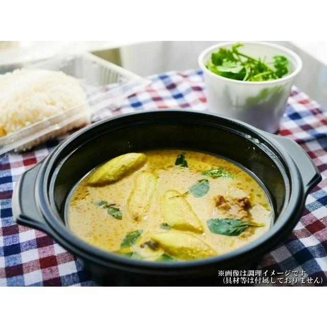 タイ風グリーンカレー　＆　スリランカ風チキンカレー　会員価格1000円　　4食＋1食セット　レトルト　お取り寄せ　メール便商品　お試しグルメギフト｜honba-kyusyu｜10