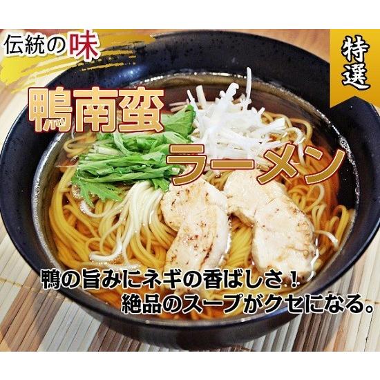 鴨ラーメン　お取り寄せ　鴨の深いコクと香り　ネギの旨味　醤油ベース　鴨南蛮スープ　しょうゆラーメン　2人前＋替玉麺2食付　お試しグルメギフト｜honba-kyusyu｜02