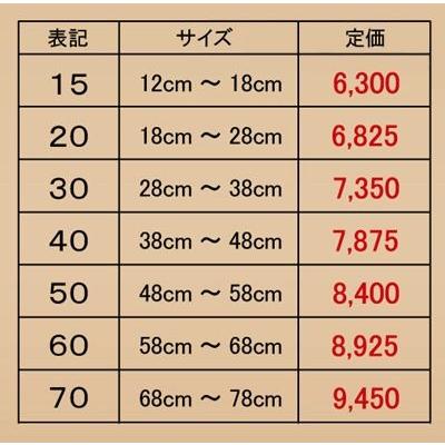 サイコーロック VER.2 ＃40 38〜48cm｜honda-2｜02