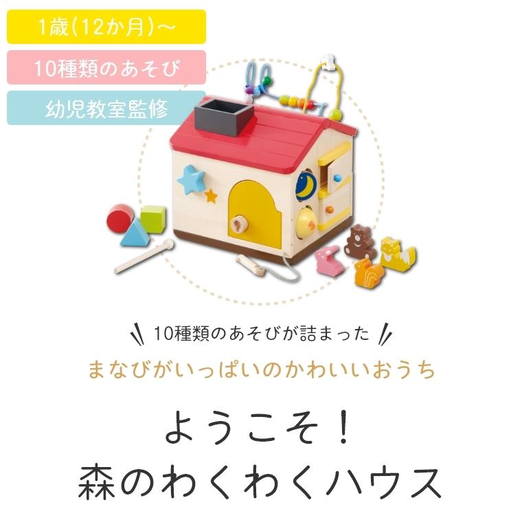 無料配達 おもちゃ 木のおもちゃ 積み木 型はめ 10種類のあそびがつまった 1歳 12か月 赤ちゃん 数あそび エド インター ようこそ 森のわくわくハウス 森のあそび道具