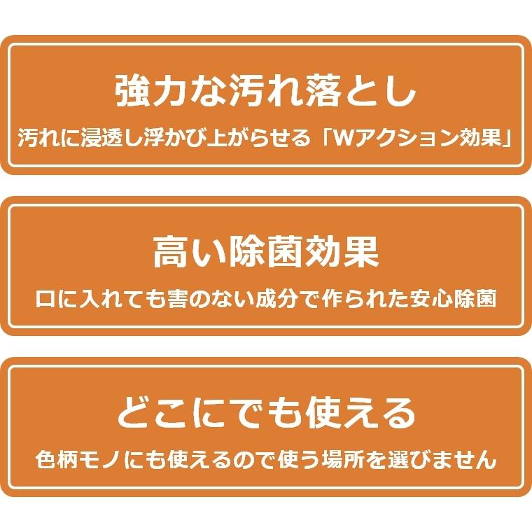 除菌 布製品 汚れ落とし 汚れ防止 ファブリッククリーナー L ミストタイプ 300ml 布ソファー用洗剤 カーペット ファブリックソファー クリーナー｜honda-2｜02