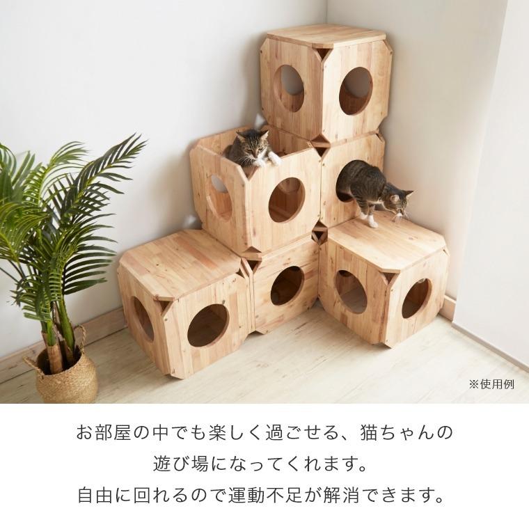 ペットベンチ S 猫 ベンチ 木製 家具 ネコ用 家 椅子 インテリア おしゃれ 天然木 スツール 箱 組み合わせ 隠れ家 ナチュラルシグネチャー C｜honda-2｜05