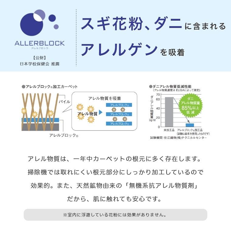 ラグカーペット ストライプ 江戸間4.5帖 サイズオーダー可 洗練されたシンプルなラインがきれいな防音Villa ヴィラ 261×261cm スミノエ 日本製｜honda-2｜14