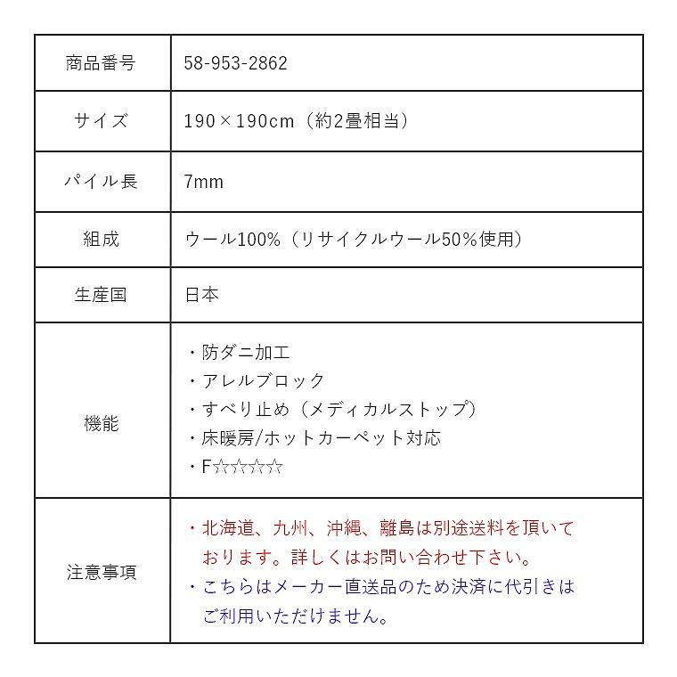 ラグ カーペット 日本製 190×190cm 2畳 滑り止め 床暖 ホットカーペット対応 防ダニ おしゃれ グラデーション ソライロ 瞑色 メイショク｜honda-2｜11