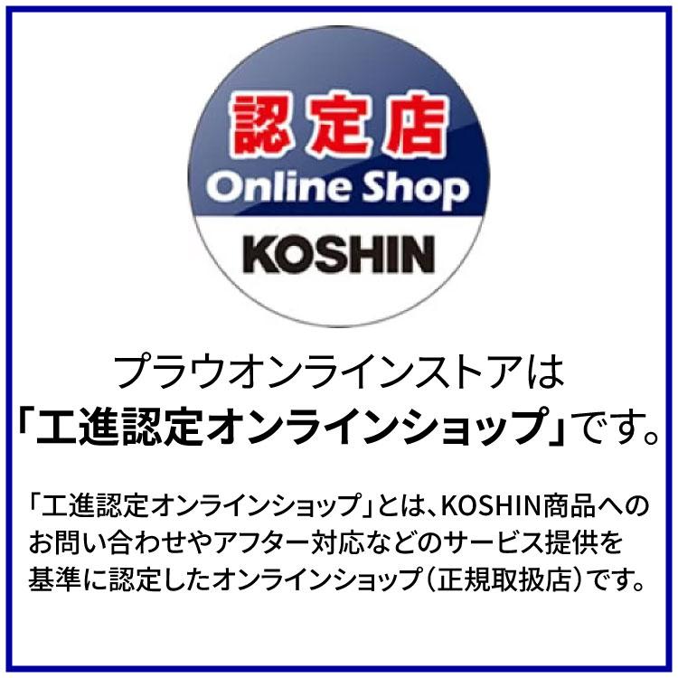 工進（KOSHIN） バッテリー内蔵式 5Lハイパワー噴霧器(BGT-5HD 殺虫用