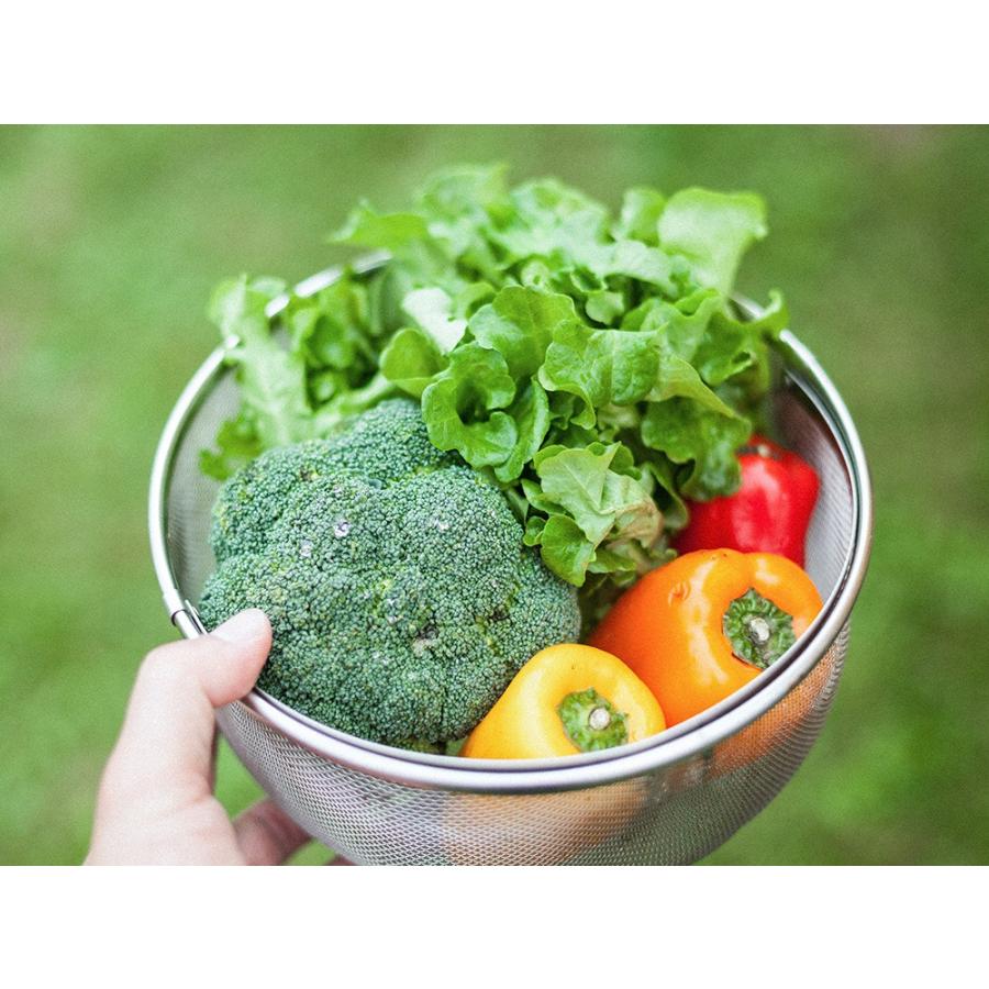 スノーピーク snowpeak フィールドクッカーPro.3「CS-023R」 : プラウ