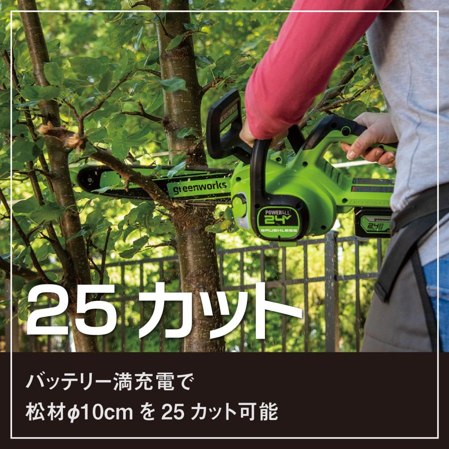 1月1〜3日はP5倍」Greenworks グリーンワークス 24V コードレス
