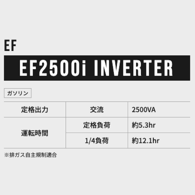 1月1〜3日はP5倍」「EarthPOWER アースパワー」インバーター発電機