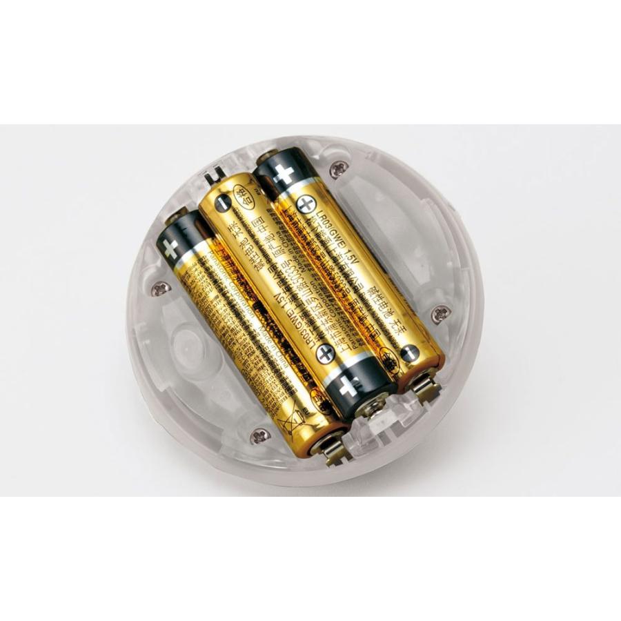 たねほおずき ゆき「ES-041WH」 : プラウ オンラインストア - 通販