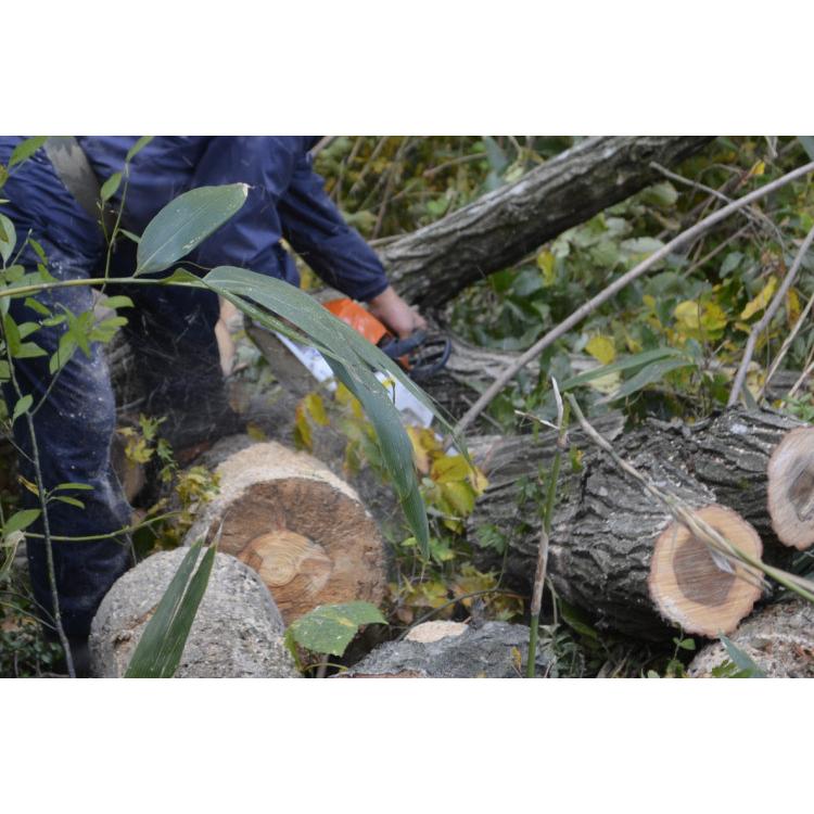 2月1日はP5倍」薪 広葉樹 ミックス 約25kg 35cm〜40cm 国内産 MAKI-001