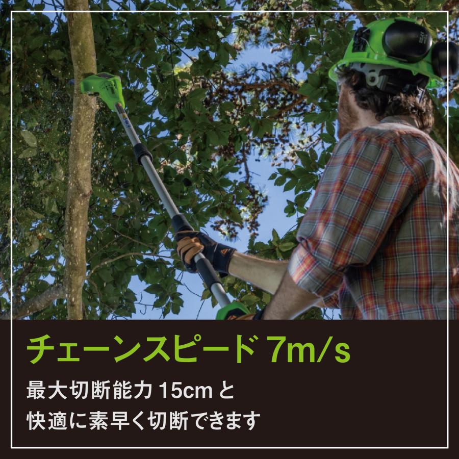 Greenworks グリーンワークス 24V コードレスポールソー 200mmバー