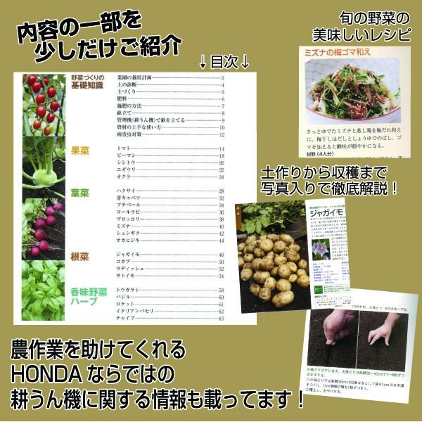 HONDAの野菜づくり　なるほど図鑑【11498】藤田智 趣味の園芸 やさいの時間｜honda-walk｜03