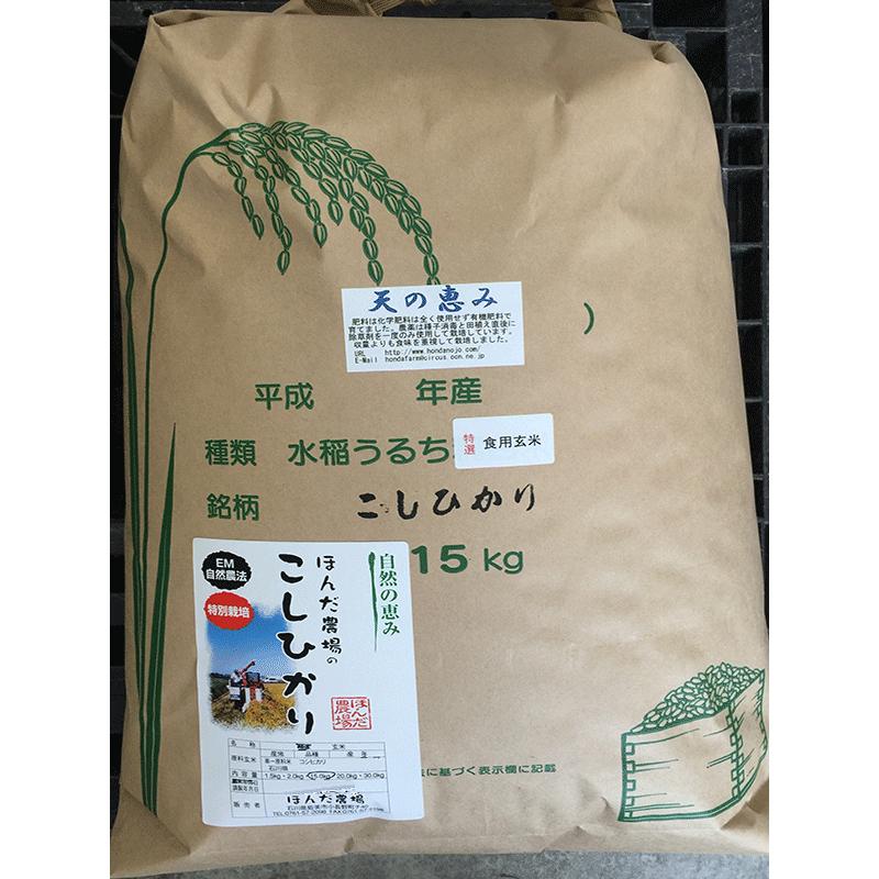 コシヒカリ お米 令和7年産 自然農法米こしひかり「天の恵み」食用玄米