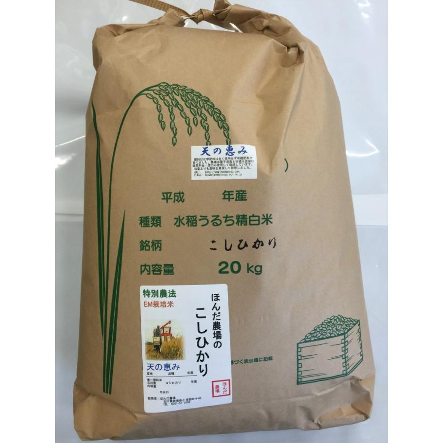 コシヒカリ お米 令和7年産 自然農法米こしひかり「天の恵み」白米