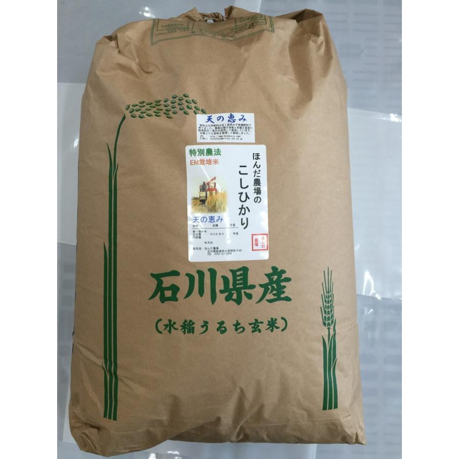コシヒカリ お米 令和7年産 自然農法米こしひかり「天の恵み」白米