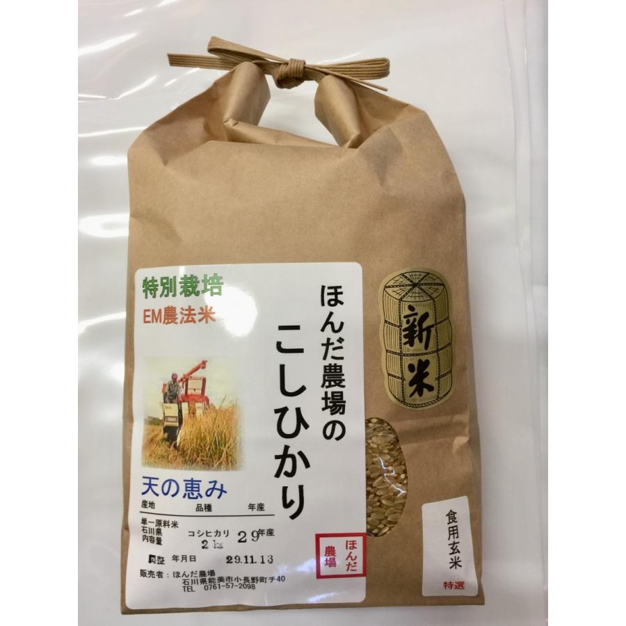 コシヒカリ お米 令和7年産 自然農法米 こしひかり「天の恵み」食用