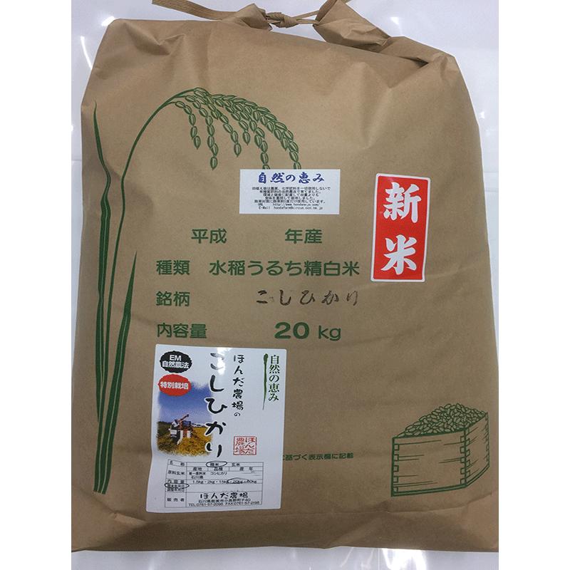 令和7年産 自然農法 特別栽培米 こしひかり 白米 20kg 「自然の恵み」 加賀百万石