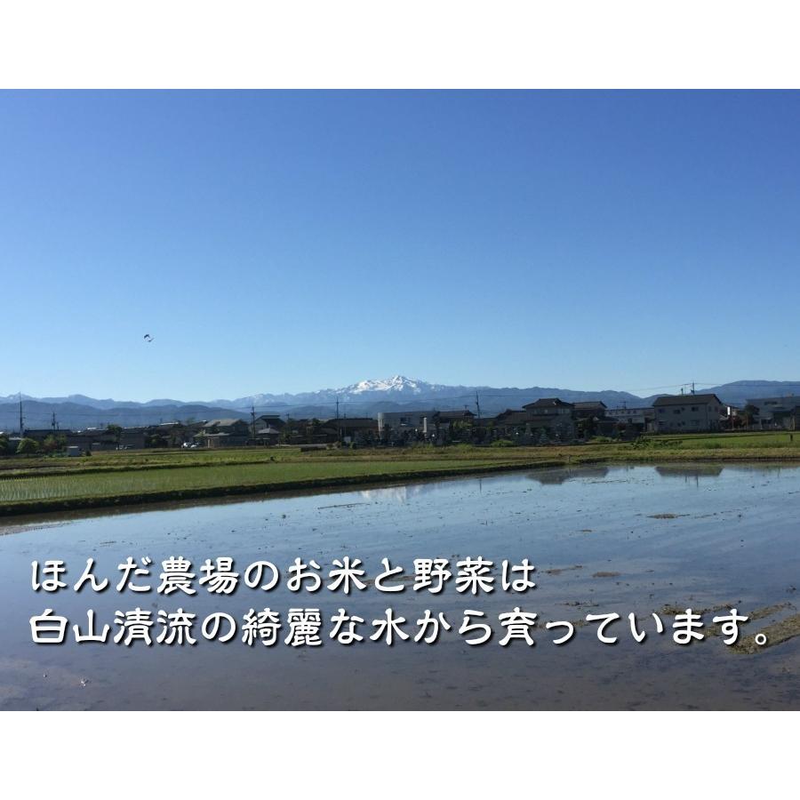 令和5年産 新米 加賀百万石 お米 こしひかり 厳選コシヒカリ 石川県産   食用 玄米 2Kg｜hondanojo｜02