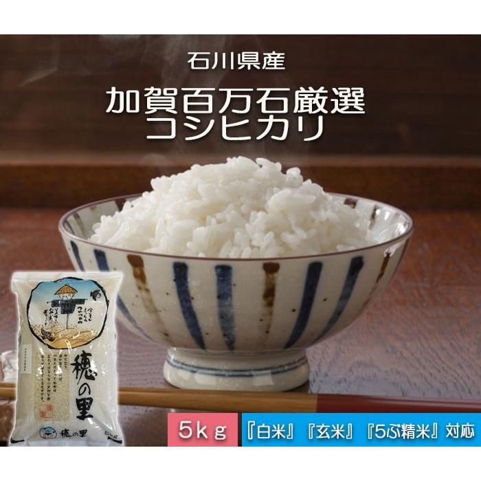 コシヒカリ 令和6年産 新米 お米 5kg 加賀百万石 こしひかり