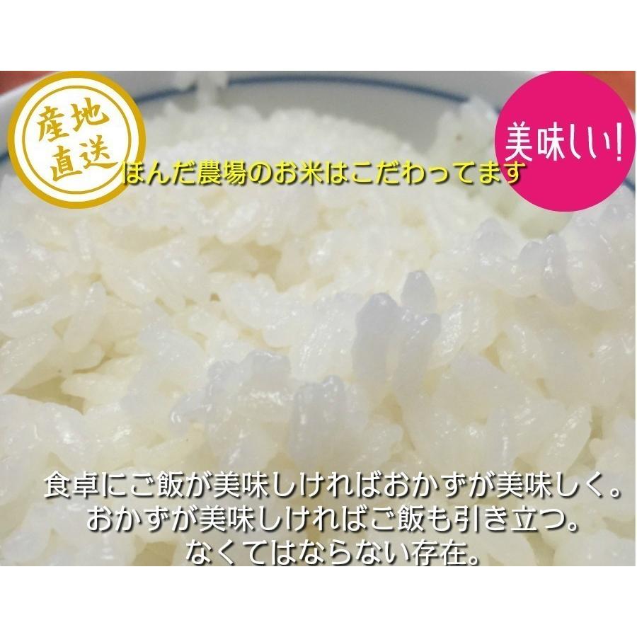 令和7年産 新米 加賀百万石 お米 こしひかり 厳選コシヒカリ 石川県産 10kg_6