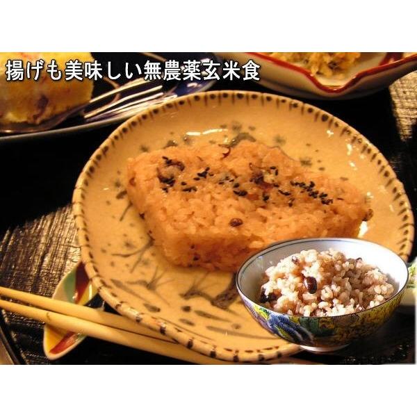 コシヒカリ 令和7年産 新米 加賀百万石 お米 こしひかり 厳選