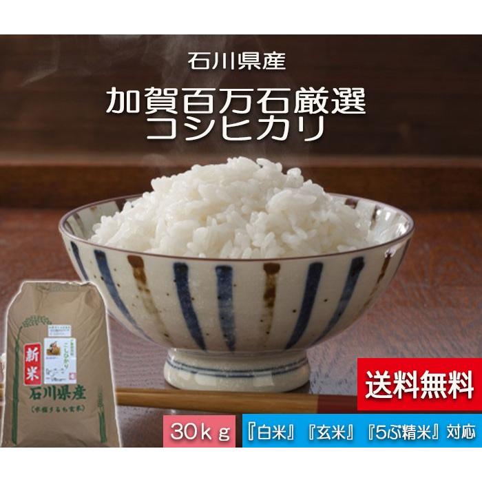 石川県産コシヒカリ30kg 早期予約】令和8年度 石川県能登産コシヒカリ