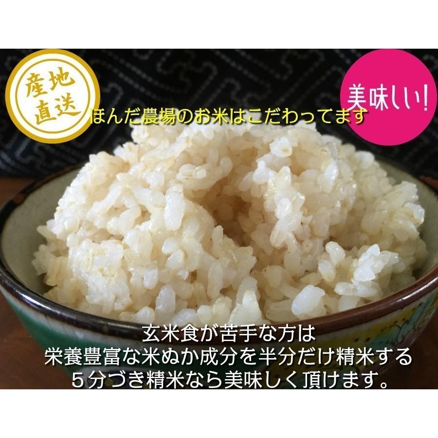 令和5年産 新米 お米 30kg  石川県産  加賀百万石 厳選 コシヒカリ｜hondanojo｜08