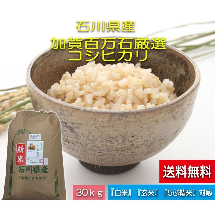 令和5年産 新米 加賀百万石 お米 こしひかり 厳選コシヒカリ 石川県産  食用 玄米 30kg｜hondanojo