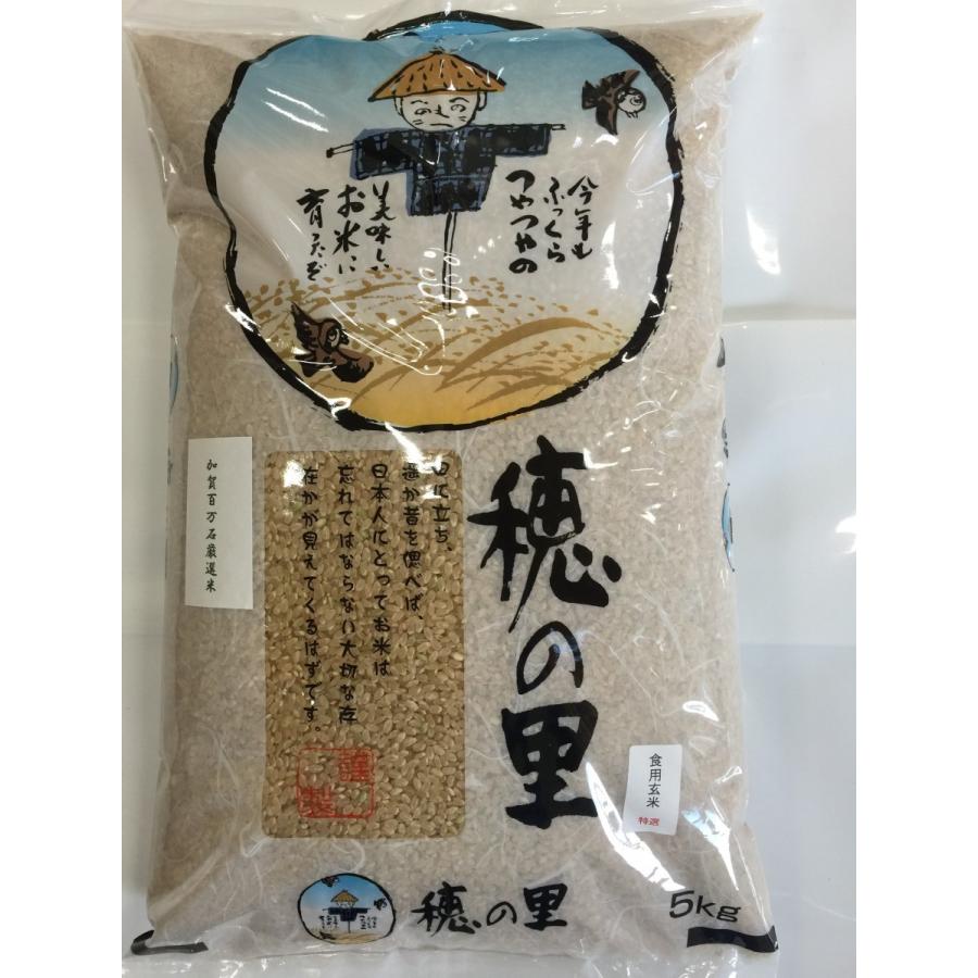令和7年産 新米 加賀百万石 お米 こしひかり 厳選コシヒカリ 石川県産 5Kg