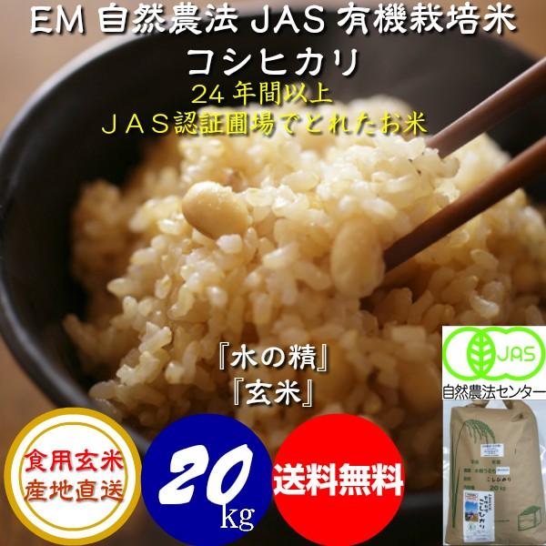 令和7年産 JAS有機米 コシヒカリ 水の精 20kg 玄米 有機栽培 自然農法