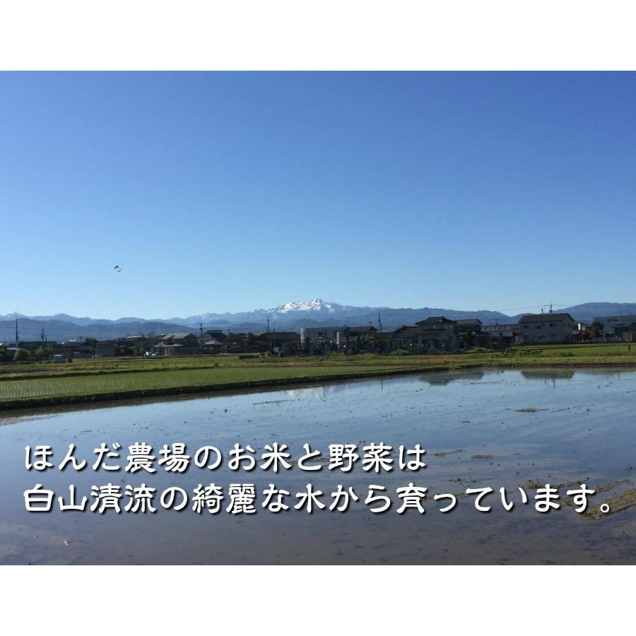 令和7年産 JAS有機米 コシヒカリ 水の精 20kg 玄米 有機栽培 自然農法_1