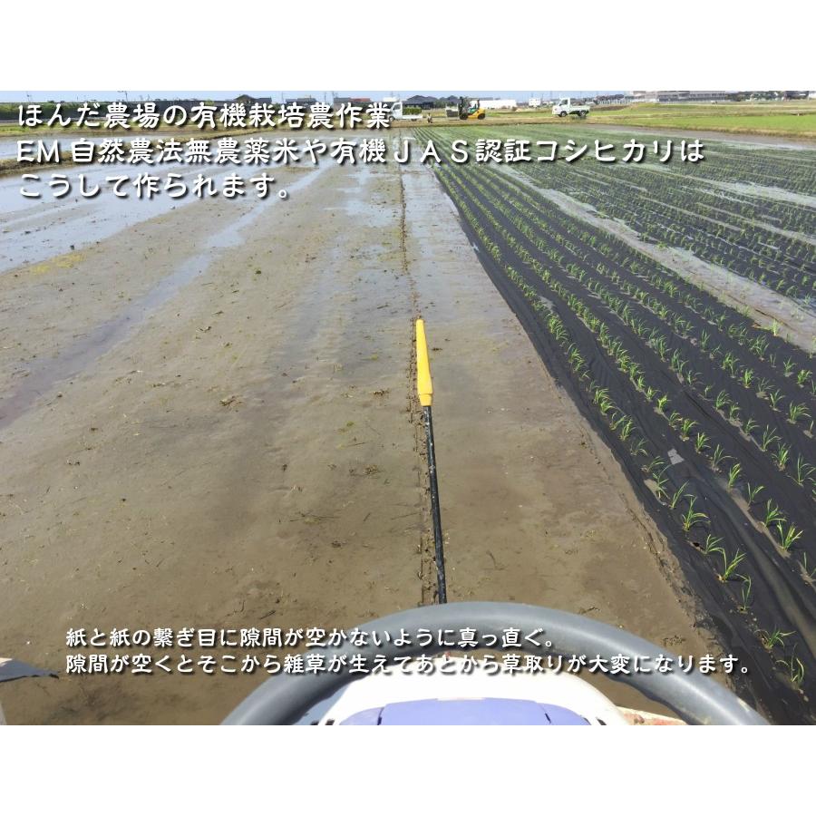 令和7年産 JAS有機米 コシヒカリ 水の精 20kg 玄米 有機栽培 自然農法_10