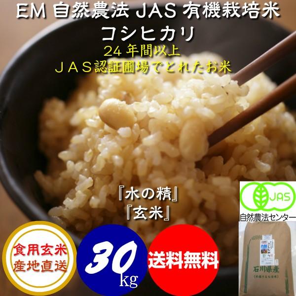 令和5年産 新米 無農薬 有機米 コシヒカリ 食用玄米 30kg 水の精