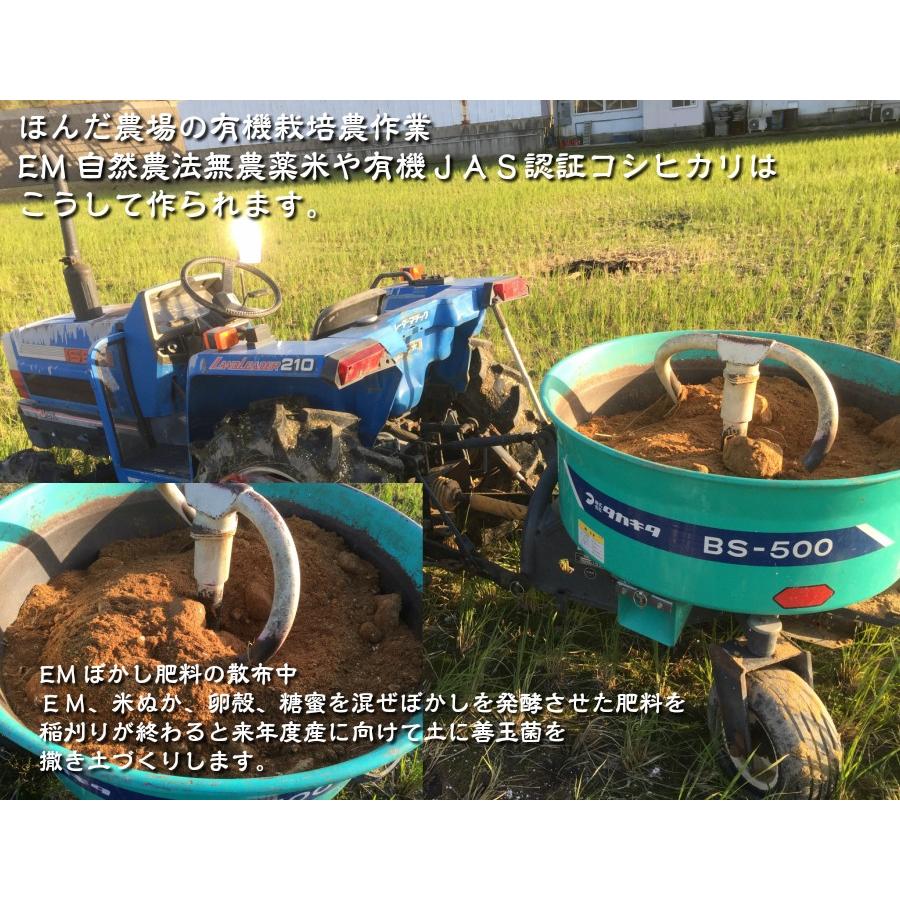 オーガニック 令和6年産 無農薬 有機米 コシヒカリ 食用玄米 30kg