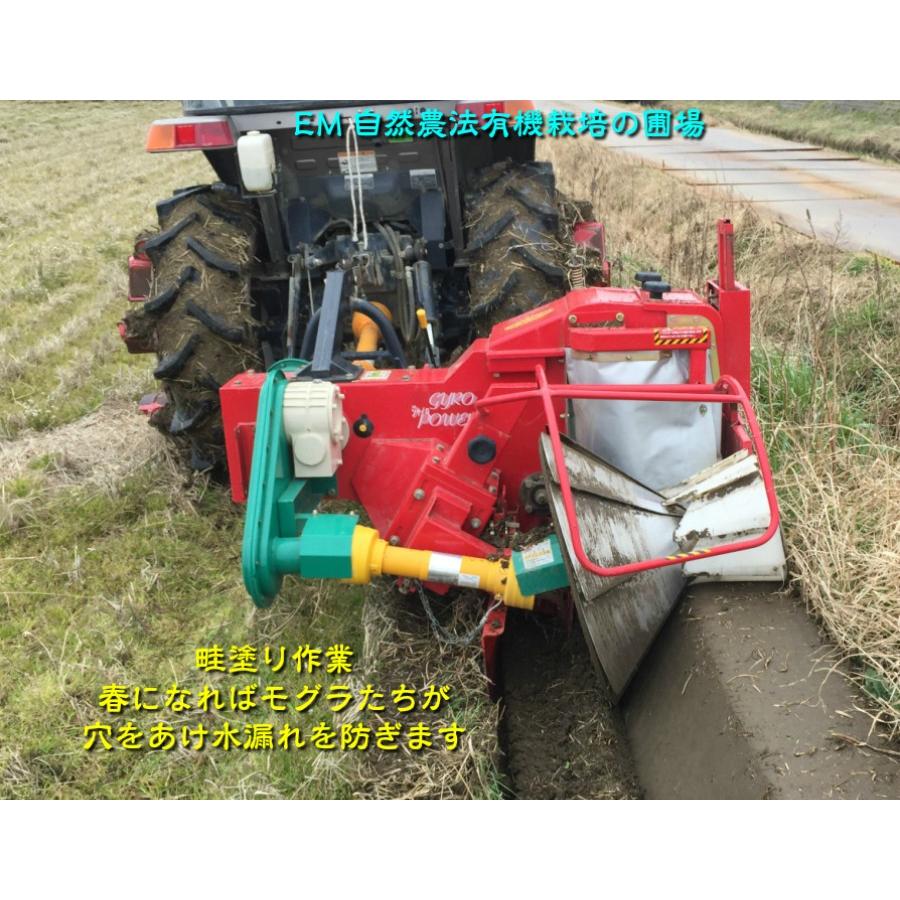 オーガニック 令和6年産 無農薬 有機米 コシヒカリ 食用玄米 30kg