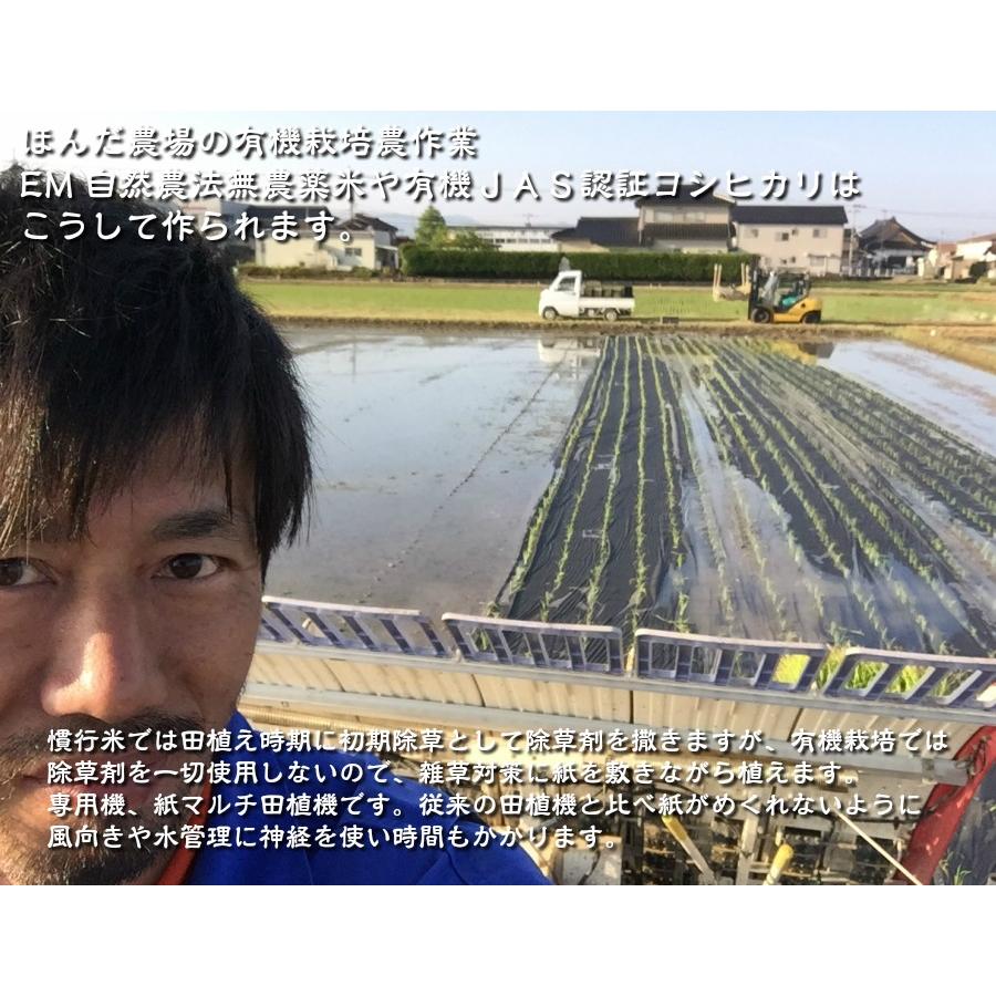 オーガニック 令和6年産 無農薬 有機米 コシヒカリ 食用玄米 30kg