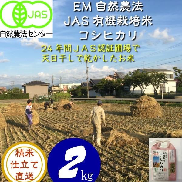 無農薬 有機栽培天日干し稲架かけ米 コシヒカリ 2kg 令和5年産  JAS オーガニック 天地の誉｜hondanojo