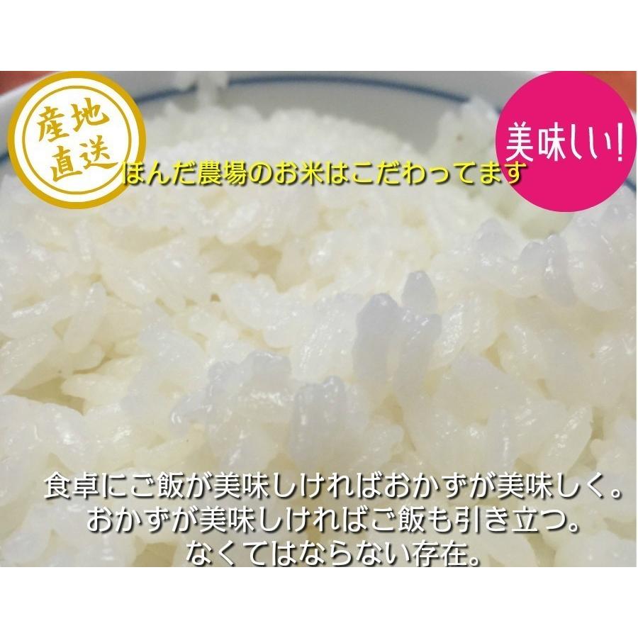 オーガニック 令和7年産 天日干し 有機JAS認証 無農薬米 コシヒカリ