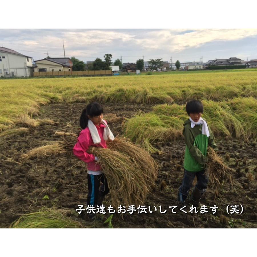 オーガニック 令和7年産 天日干し 有機JAS認証 無農薬米 コシヒカリ