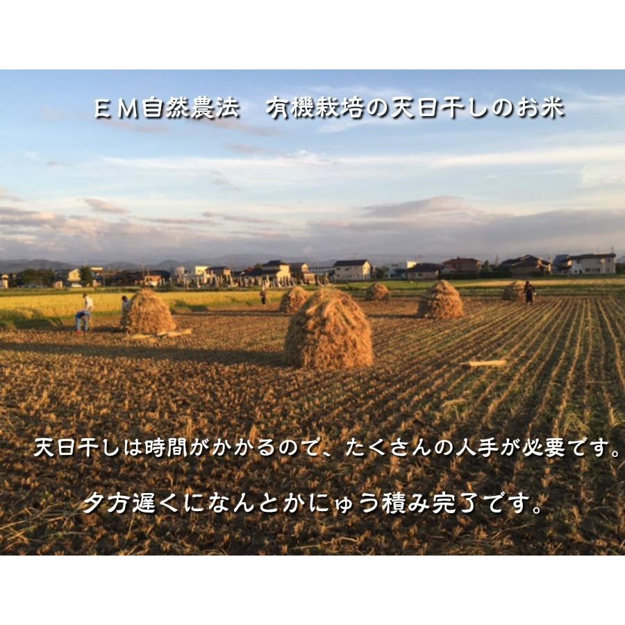 オーガニック 令和7年産 天日干し 有機JAS認証 無農薬米 コシヒカリ