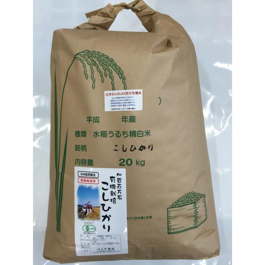 大特価 無農薬 お米 有機米 白米 20kg コシヒカリ 自然農法 令和5年産  
