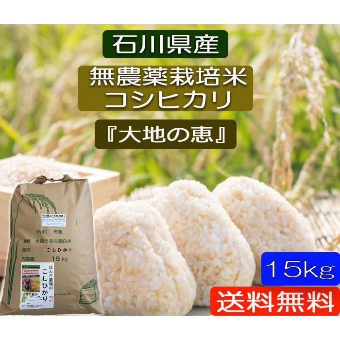 令和7年産 無農薬栽培米 こしひかり白米 15kg お米 自然農法 「大地の恵」