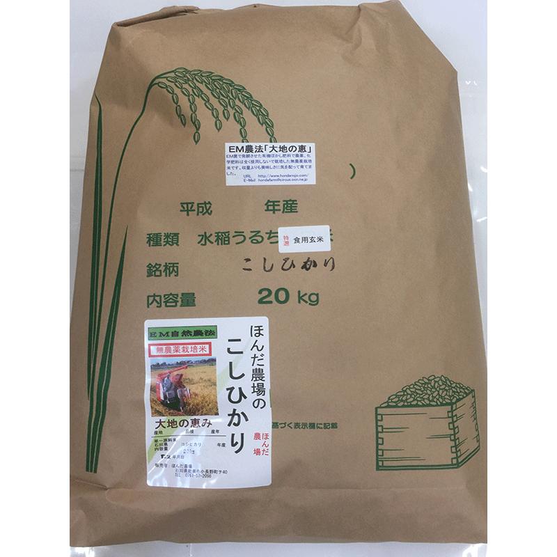 令和7年産 無農薬栽培米 こしひかり 玄米 15kg お米 自然農法 「大地の恵」