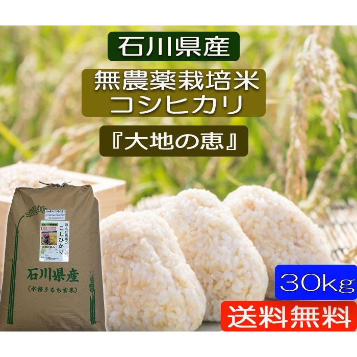 令和7年産 無農薬栽培米 こしひかり 白米 30kg お米 自然農法 「大地の恵」