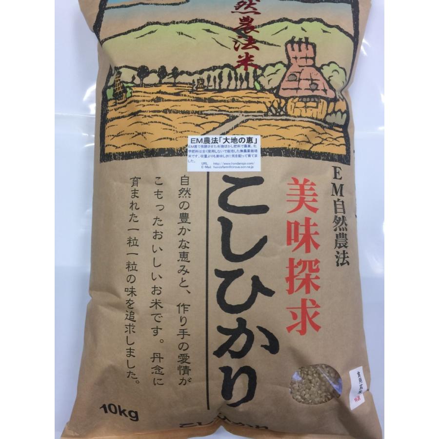 コシヒカリ 令和7年産 無農薬栽培米 こしひかり 玄米 10kg お米 自然