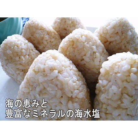 令和7年産 新米 無農薬 有機米 こしひかり 食用玄米 2kg 土の詩 JAS