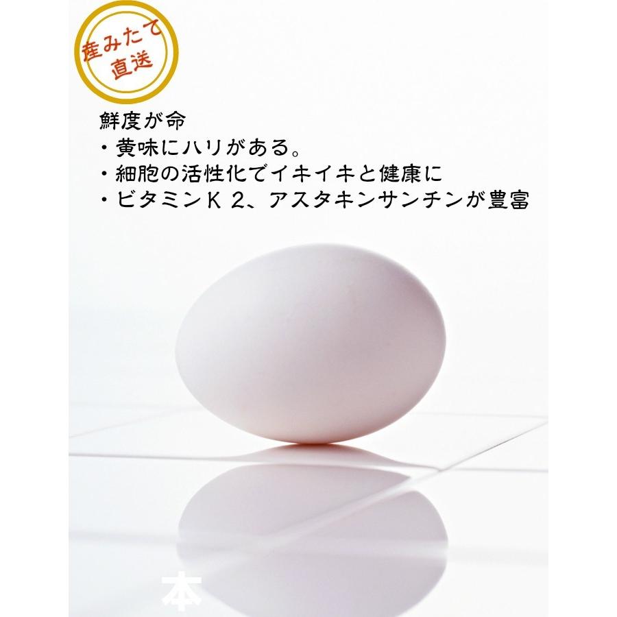 【送料無料】 美野里たまご 玉子 10個入り 3パックと有機米5kgセット 卵 玉子_10