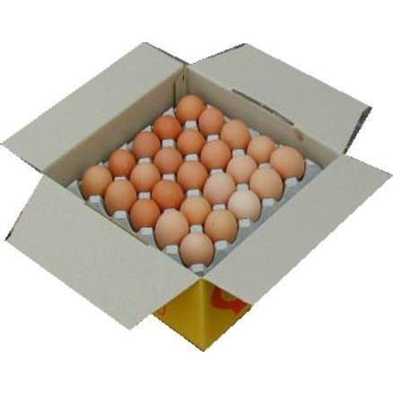 【送料無料】 美野里たまご 玉子 10個入り 3パックと有機米5kgセット 卵 玉子_2